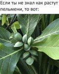 {$title}