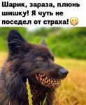 {$title}