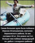 {$title}
