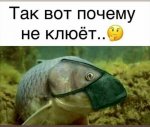 {$title}