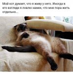 {$title}