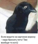 {$title}
