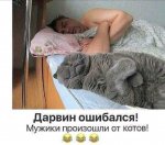 {$title}