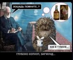 {$title}