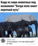 {$title}