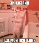 {$title}