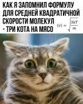 {$title}