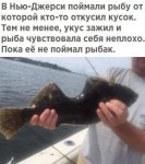 {$title}