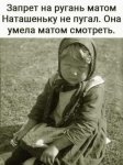 {$title}