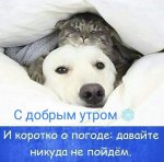{$title}
