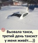 {$title}