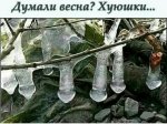 {$title}