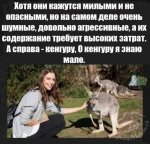 {$title}