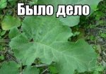 {$title}