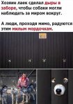 {$title}