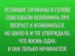 {$title}