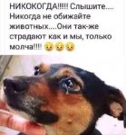 {$title}