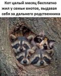 {$title}