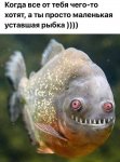 {$title}