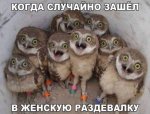 {$title}