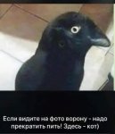 {$title}