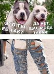{$title}