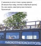 {$title}