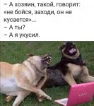 {$title}
