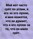{$title}