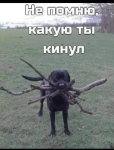 {$title}
