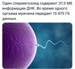 {$title}