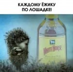{$title}