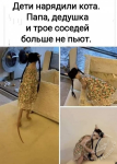 {$title}