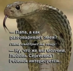 {$title}