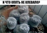 {$title}