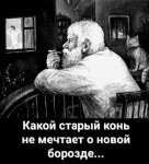 {$title}