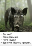 {$title}