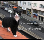 {$title}