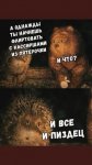 {$title}
