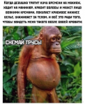 {$title}
