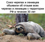 {$title}