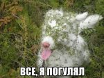 {$title}