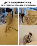 {$title}