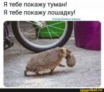 {$title}