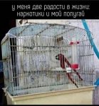 {$title}