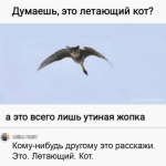 {$title}