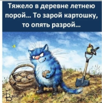 {$title}