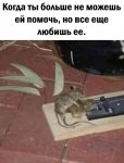 {$title}