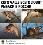 {$title}