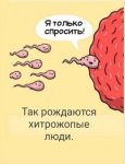 {$title}